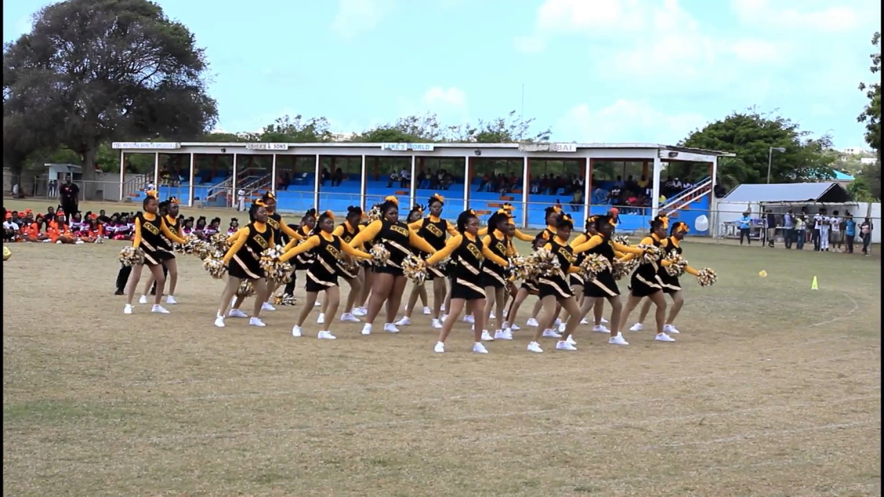 ALHCS Yellow House Cheerleaders 2017