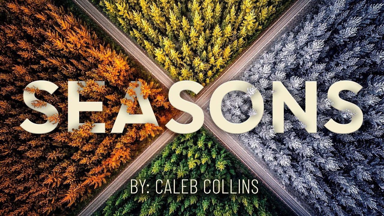Series | Seasons | Dec 28, 2025