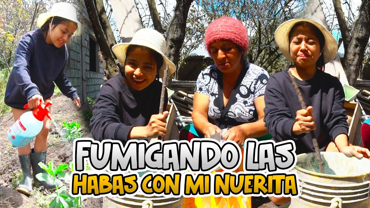 FUMIGAMOS HABITAS PARA PREVENIR PLAGAS | Señora Marianita Ft. Elvia Maji