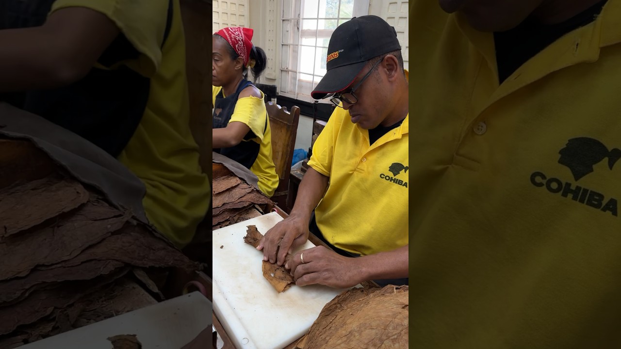 Inside El Laguito factory, the home of #Cohiba #Cigars 😍 #howto #cigarrolling