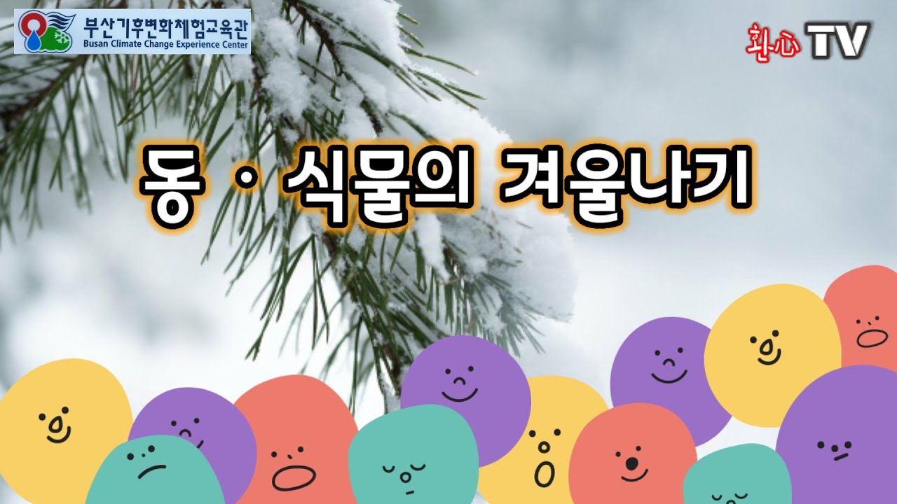 [환심TV] 11. 동식물의 겨울나기