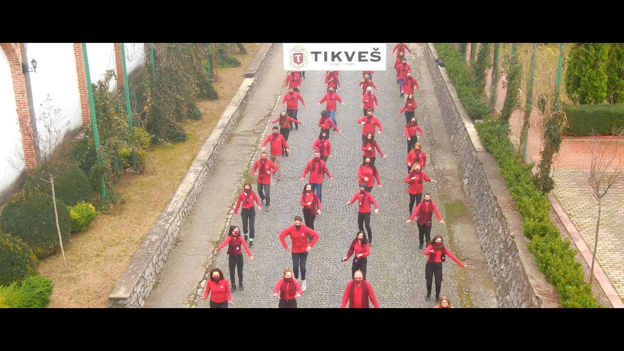 Jerusalema Dance Challenge | Tikves Winery