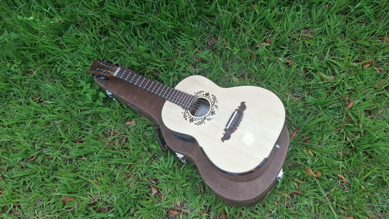 Viola Jacarandá e Abeto Alemão