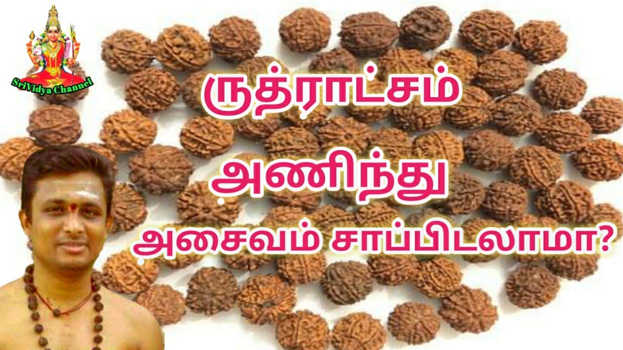 ருத்ராட்சம் அணிந்து அசைவம் சாப்பிடலாமா rudraaksh