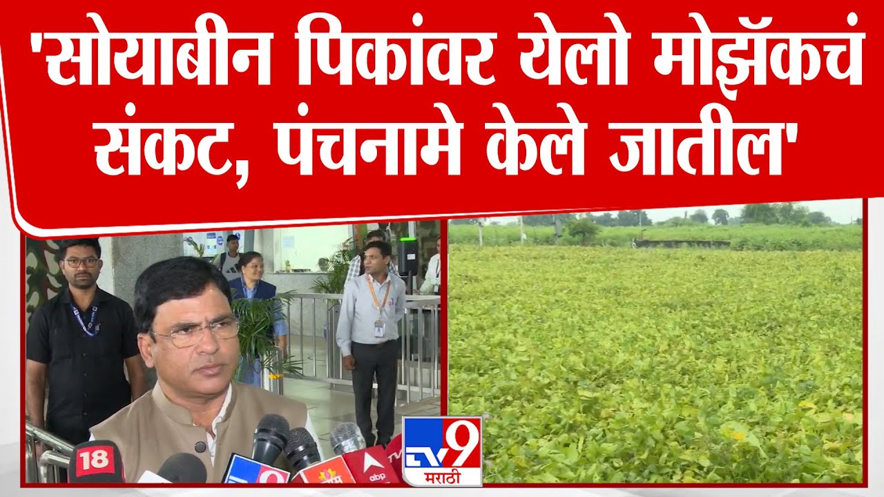 Ashish Jaiswal | 'सोयाबीन पिकांवर येलो मोझॅकचं संकट, पंचनामे केले जातील'