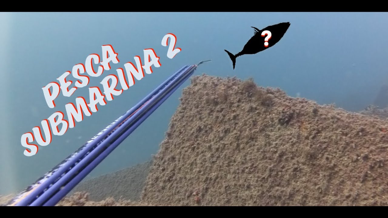 Pesca submarina Alicante 2 | Jornada muy entretenida!!! 😲😲