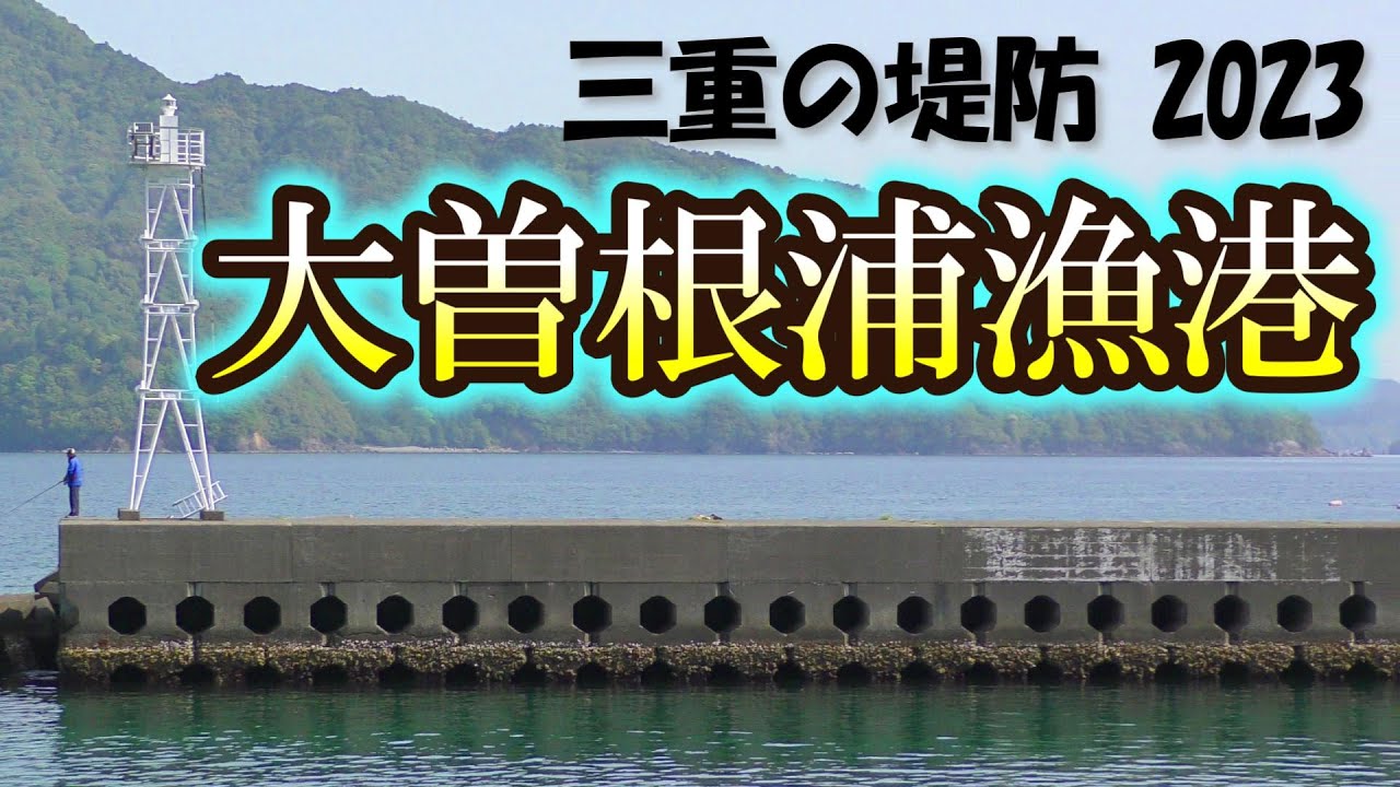釣りやすくて大物も狙える堤防　大曽根浦漁港【三重の堤防釣りポイント　2023年 版】