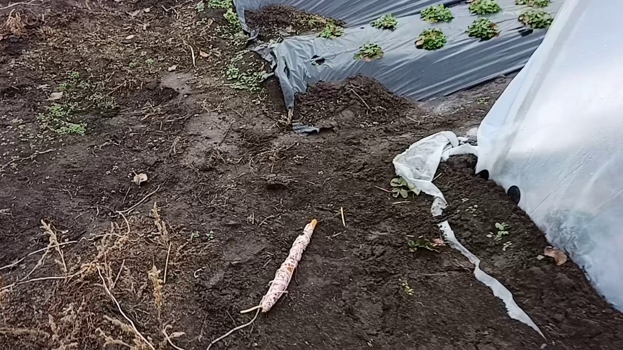 Как сделать торцы на теплице.