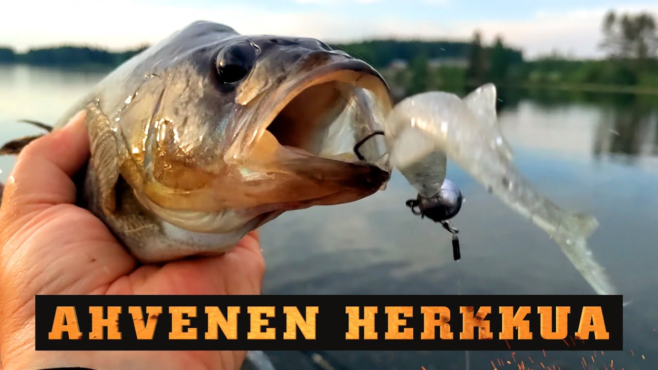 Kuhalle ja ahvenelle herkkua tarjolla / Alburnus FT uutuus jigi
