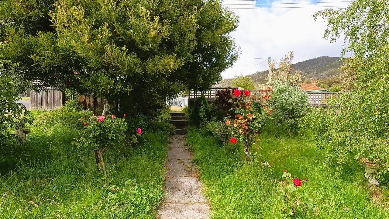 We Found A Garden Jungle On Facebook...The Cleanup Was INSANE!