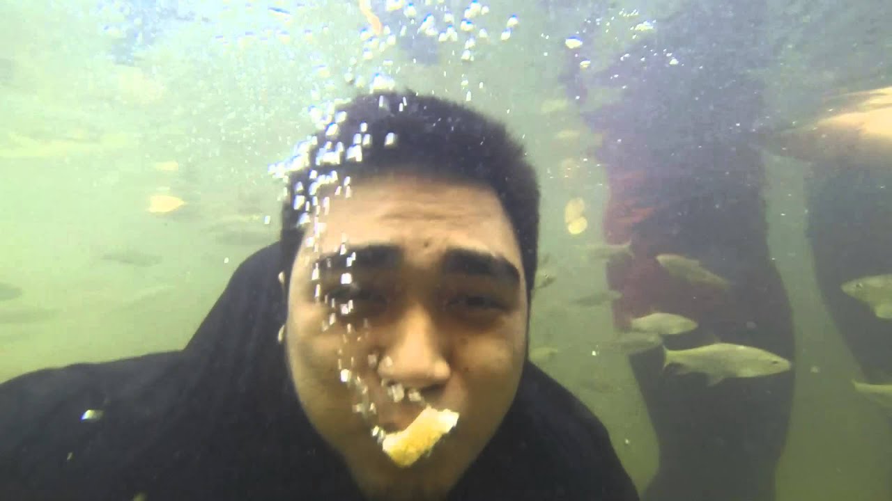 Fish Sanctuary Chilling Waterfall Kuala Kubu Bharu.