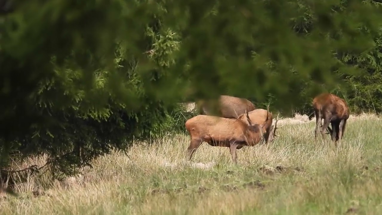 4 x 8 (Teil 1)