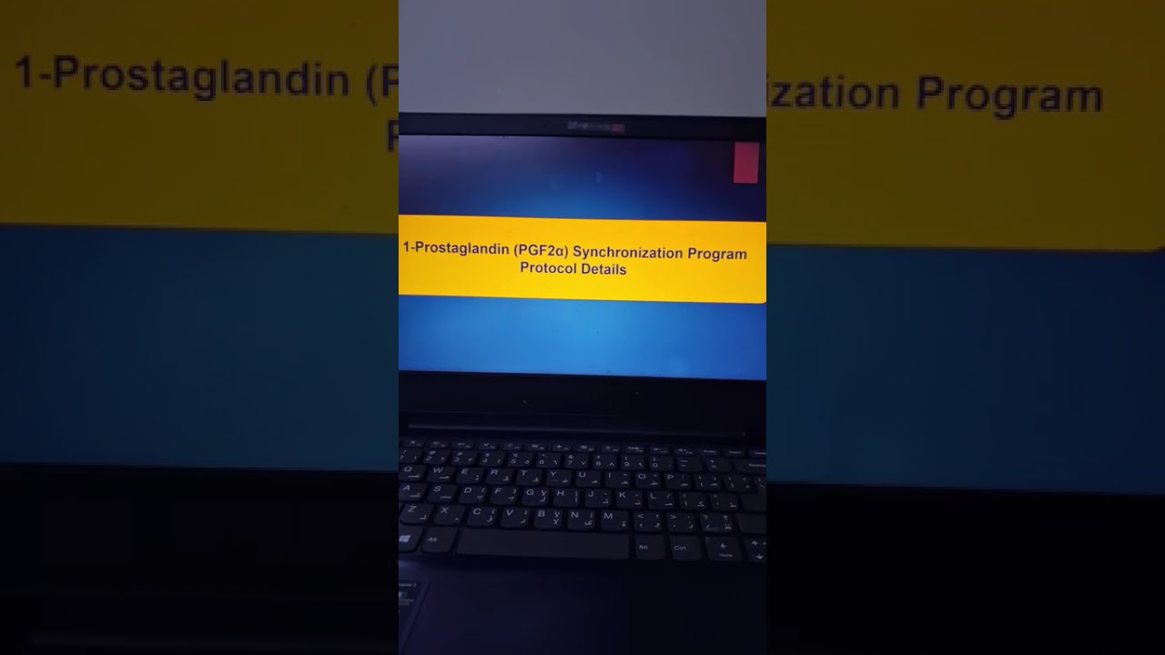29-Part 5 Estrus Synchronization in Cows .Prof Dr Hamed Attia