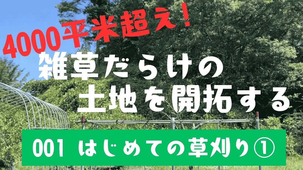 【雑草だらけの土地を開拓】初めての草刈り！