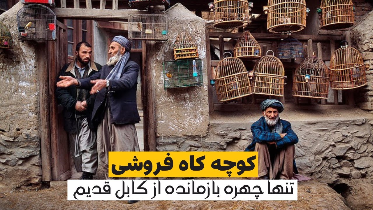 مستند کوچه کاه فروشی کابل | Documentary of kocha-e-kah froshi Kabul