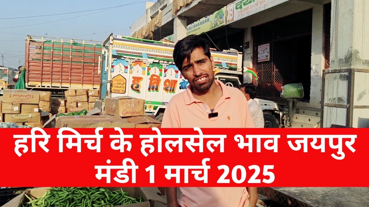 1 मार्च 2026 हरि मिर्च का भाव | मिर्च के भाव जयपुर mandi / vegetable market Jaipur 
