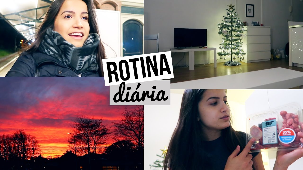 ÁRVORE ERRADA, MERCADO, POR DO SOL MAIS LINDO! | Vanessa Lino