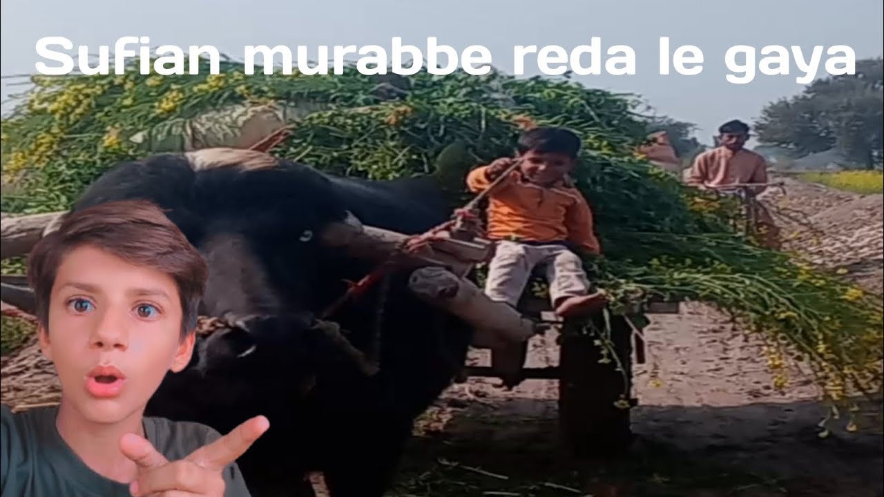 Sufian murabbe reda le gaya #viral#pind#pindwala#village#