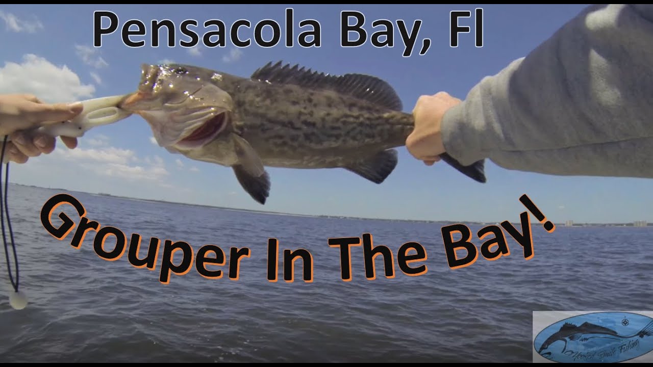 CATCHING Spanish Mackerel, Red Snapper, and Grouper in Pensacola Bay (Insane multiple species day)!!