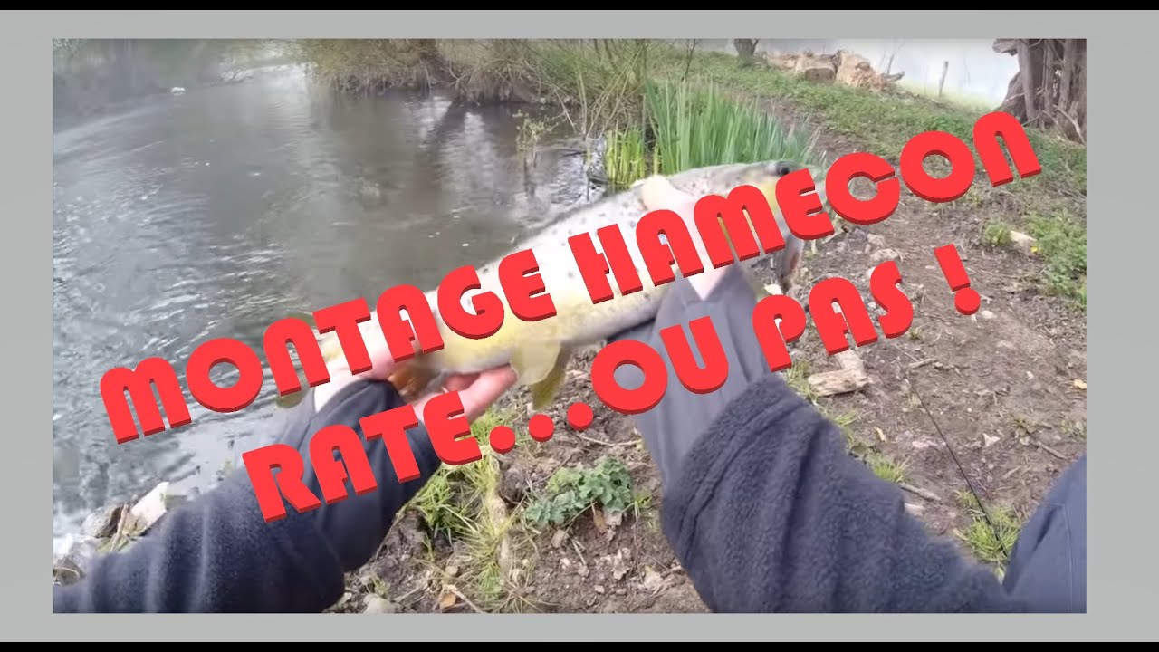 HAMEÇON SANS ARDILLON - MONTAGES et TRUITE EN DIRECT