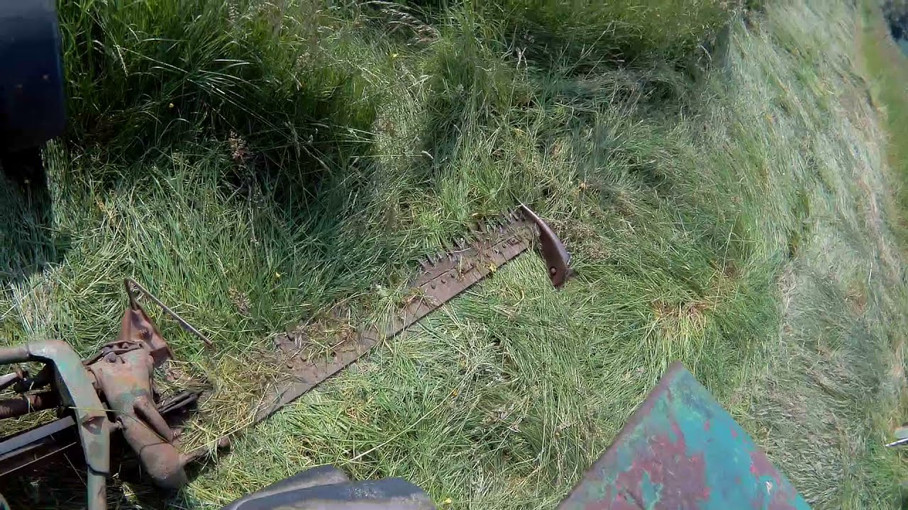 Gras Mähen mit Mähbalken für Heu - leider nicht ganz erfolgreich