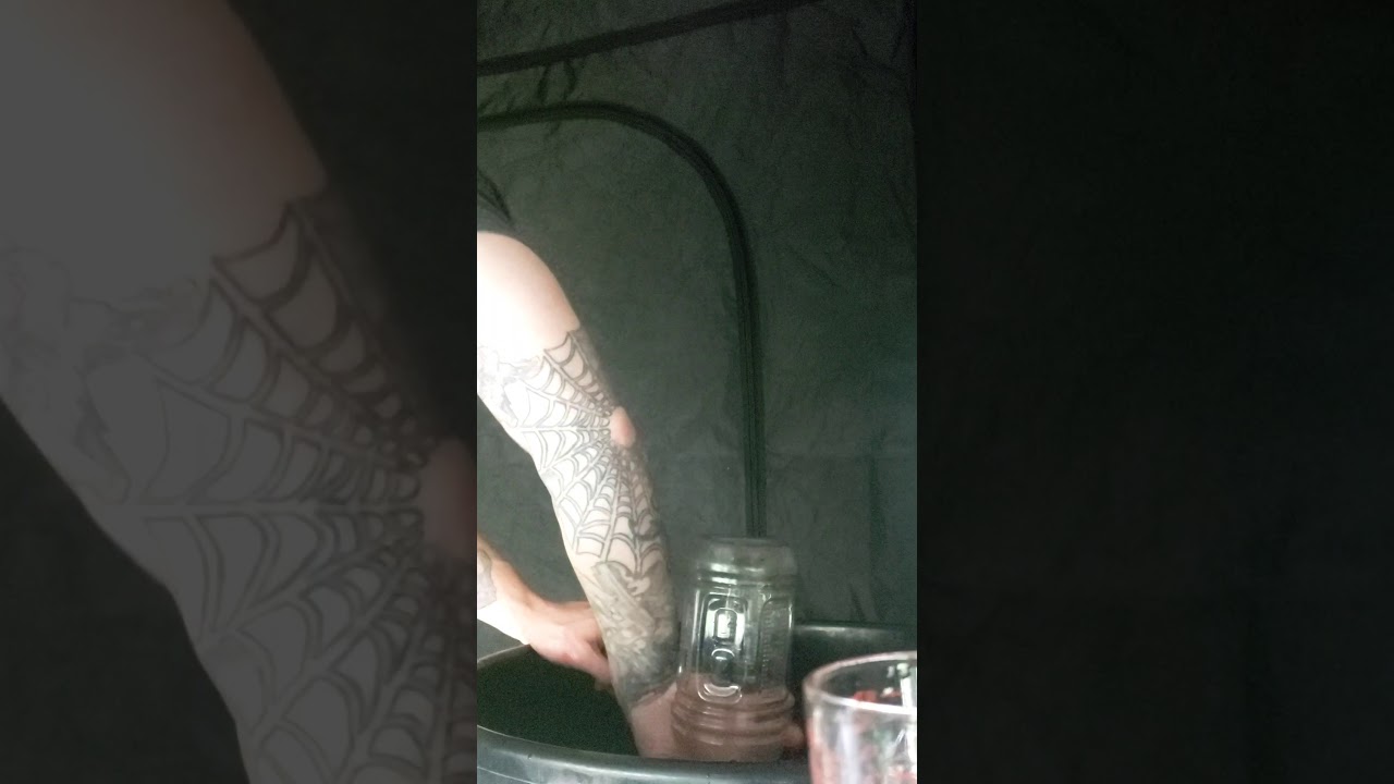 Organic Tea Brewing for Cannabis plants