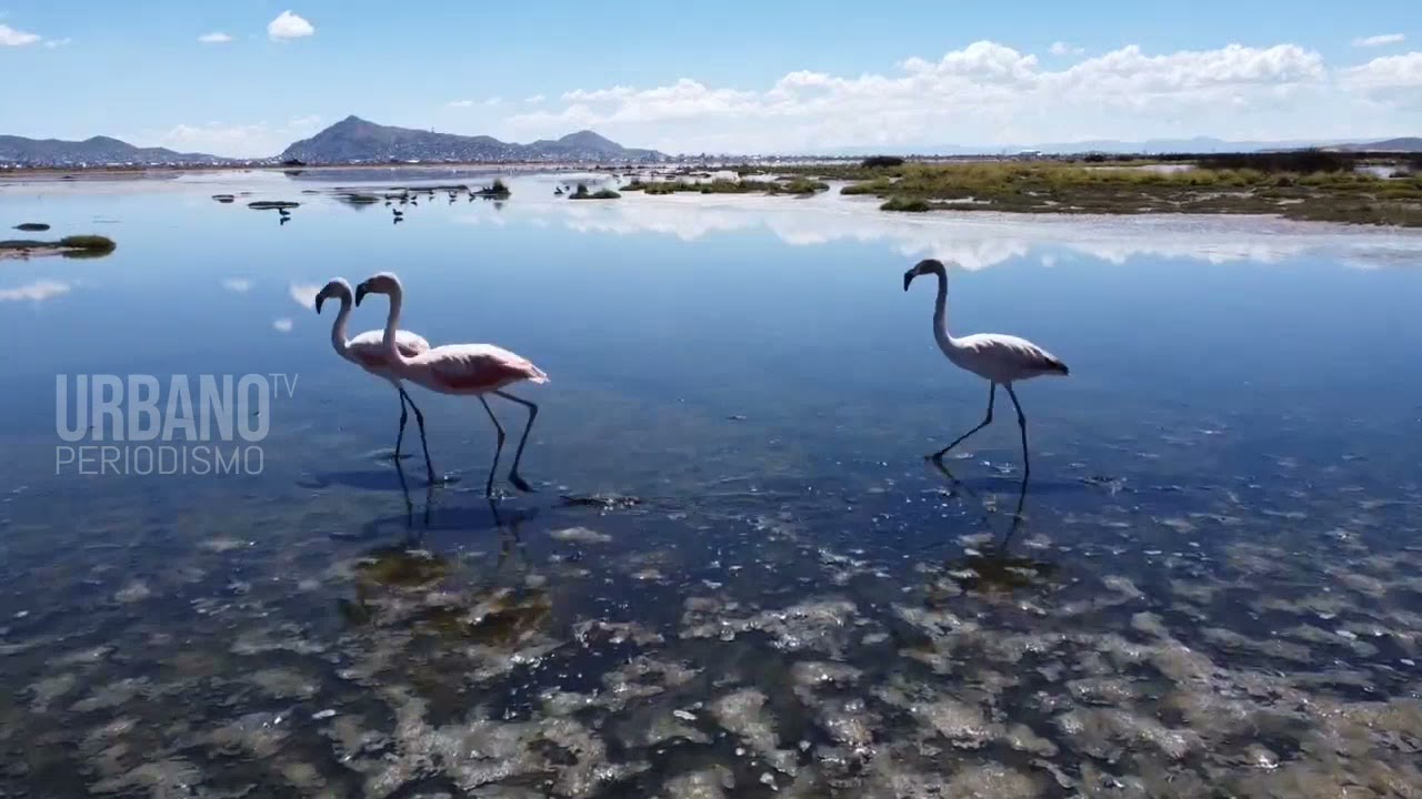 LAGO URU URU Departamento de #Oruro
