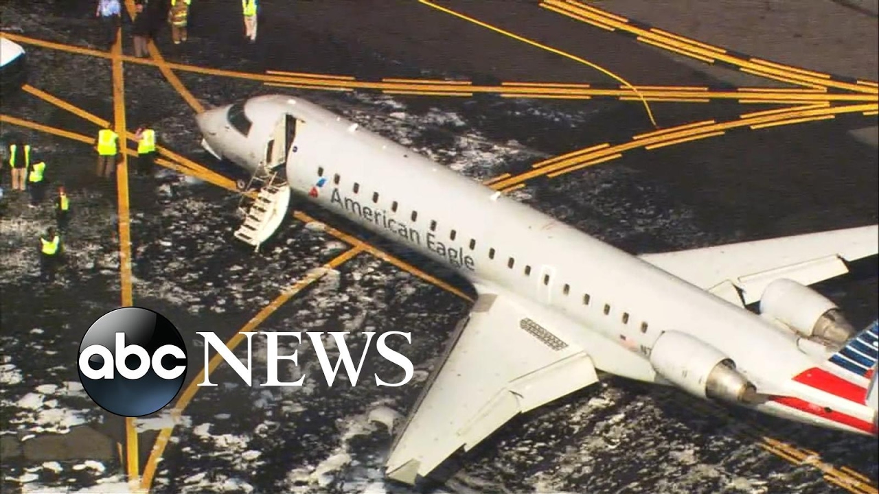 Plane makes emergency landing after hitting deer