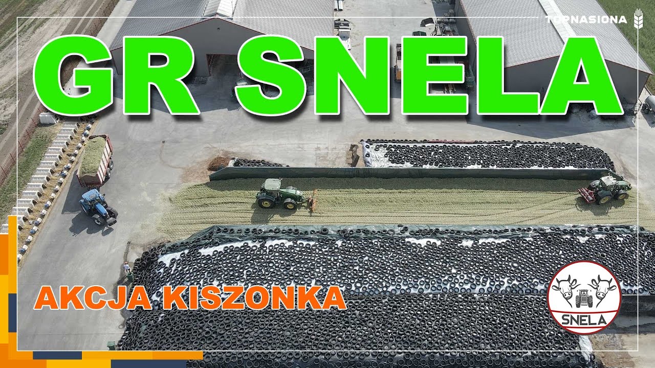 🌽 GR Snela - zbiór kukurydzy na kiszonkę cz. 4/5 | Top Nasiona