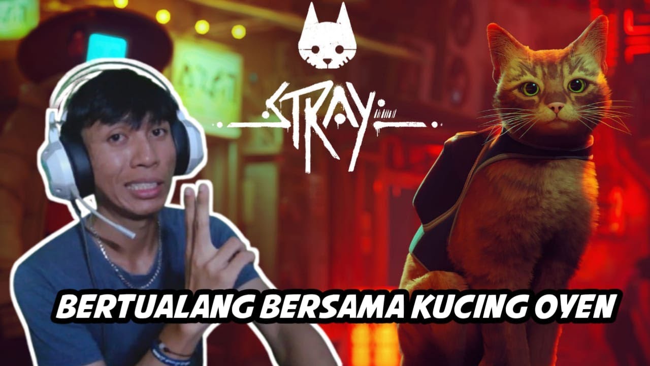 BERTUALANG BERSAMA KUCING OYEN BUBBY KIRTINIGIRI! - Stray PART 3