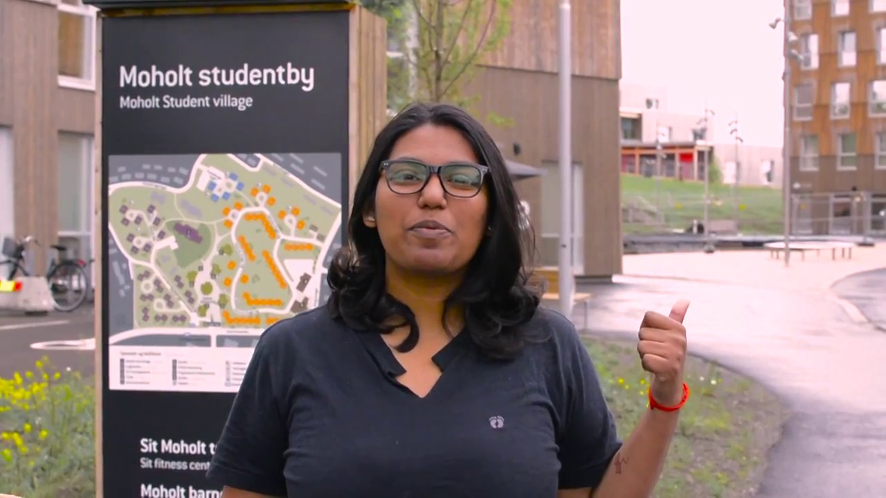 Moholt Studentby Trondheim