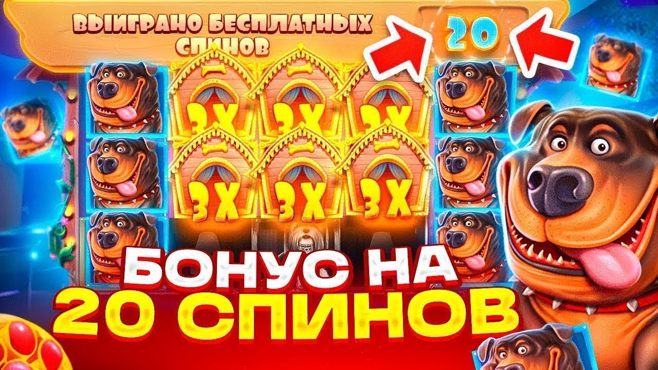 ПОЙМАЛ БОНУСКУ НА 20 СПИНОВ В THE DOG HOUSE DOG OR ALIVE! БОЛЬШОЙ БОНУСБАЙ / ( ЗАНОСЫ НЕДЕЛИ)