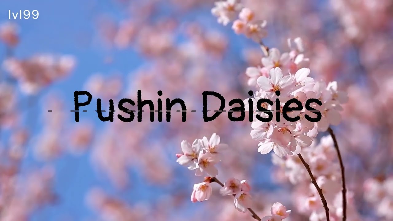 Pushin Daisies : lvl99