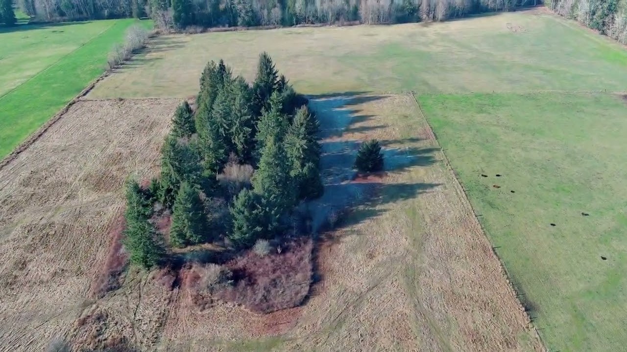 5662 Center Road, Chimacum, Washington
