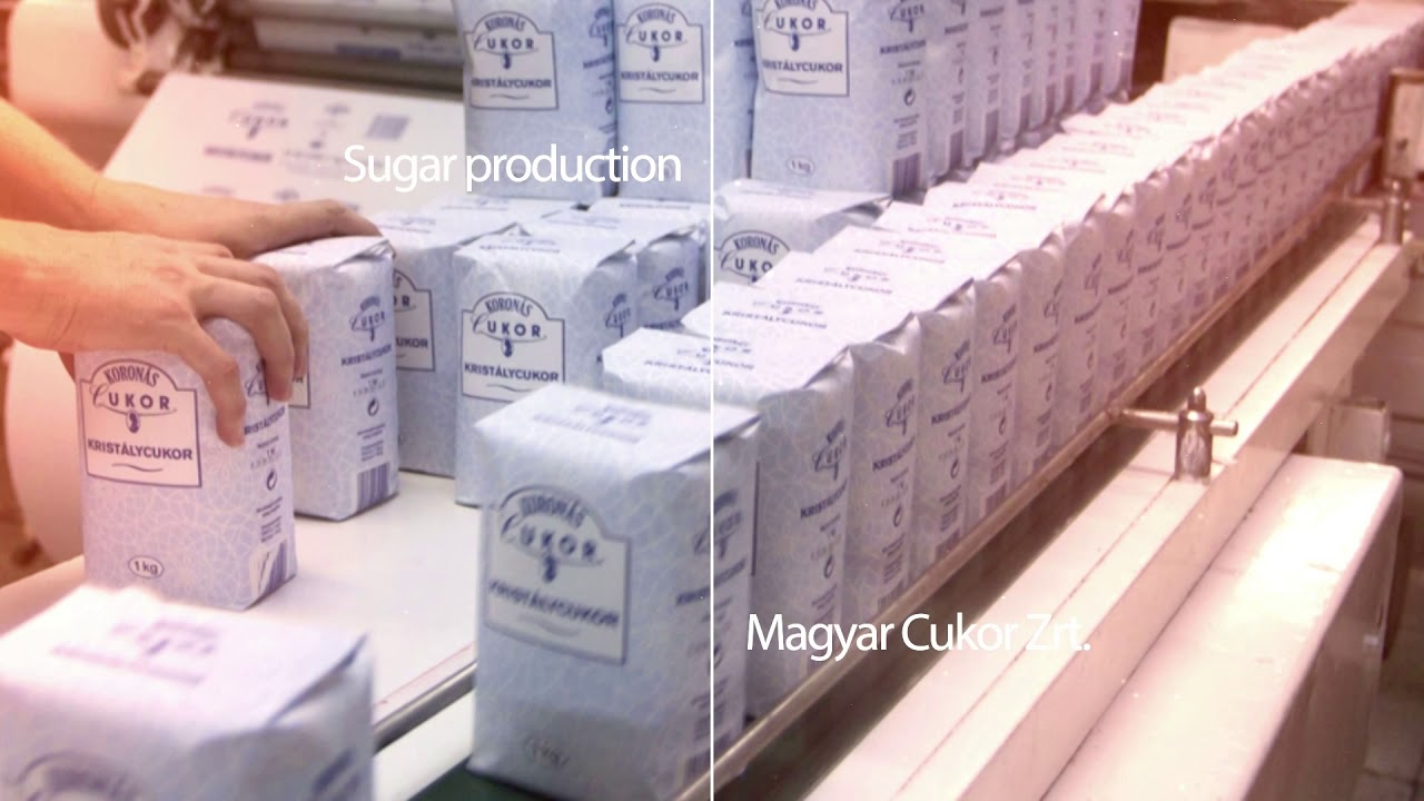 City of Kaposv&aacute;r - Invest in the Heart of Somogy (long version)