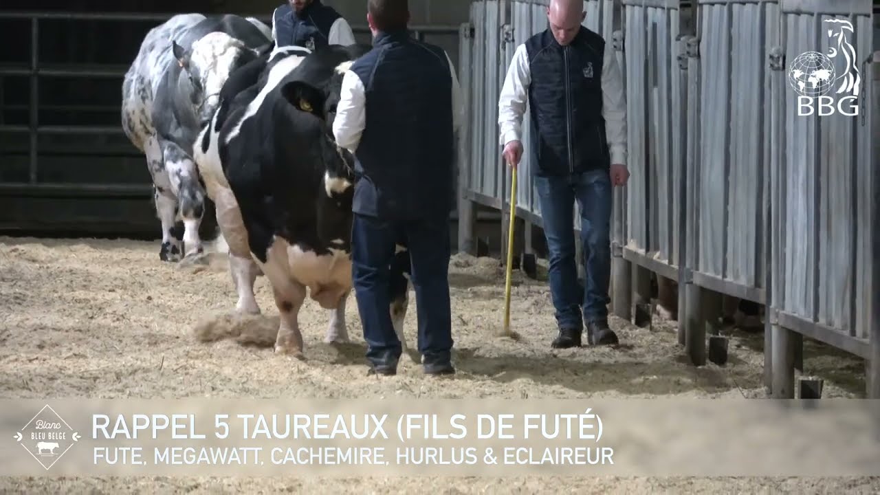 RAPPEL 5 TAUREAUX 2022