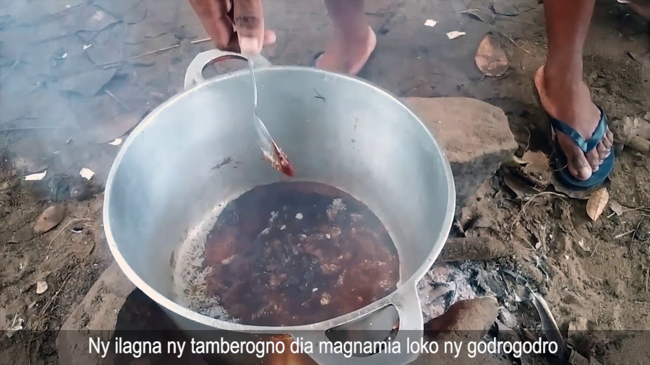 Godrogodro aty Maroantsetra
