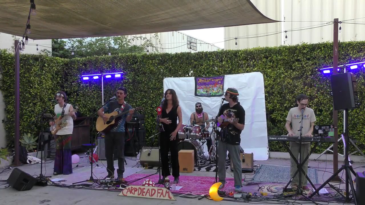 Ladyfinger 9/16/25 at Fox Wine Co. - Set 1