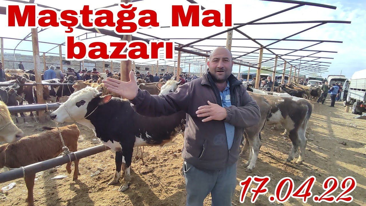 MAŞTAĞA MAL BAZARI 17.04.22 #mubarizemintv #mastagamalbazari #mastagaqoyunbazari