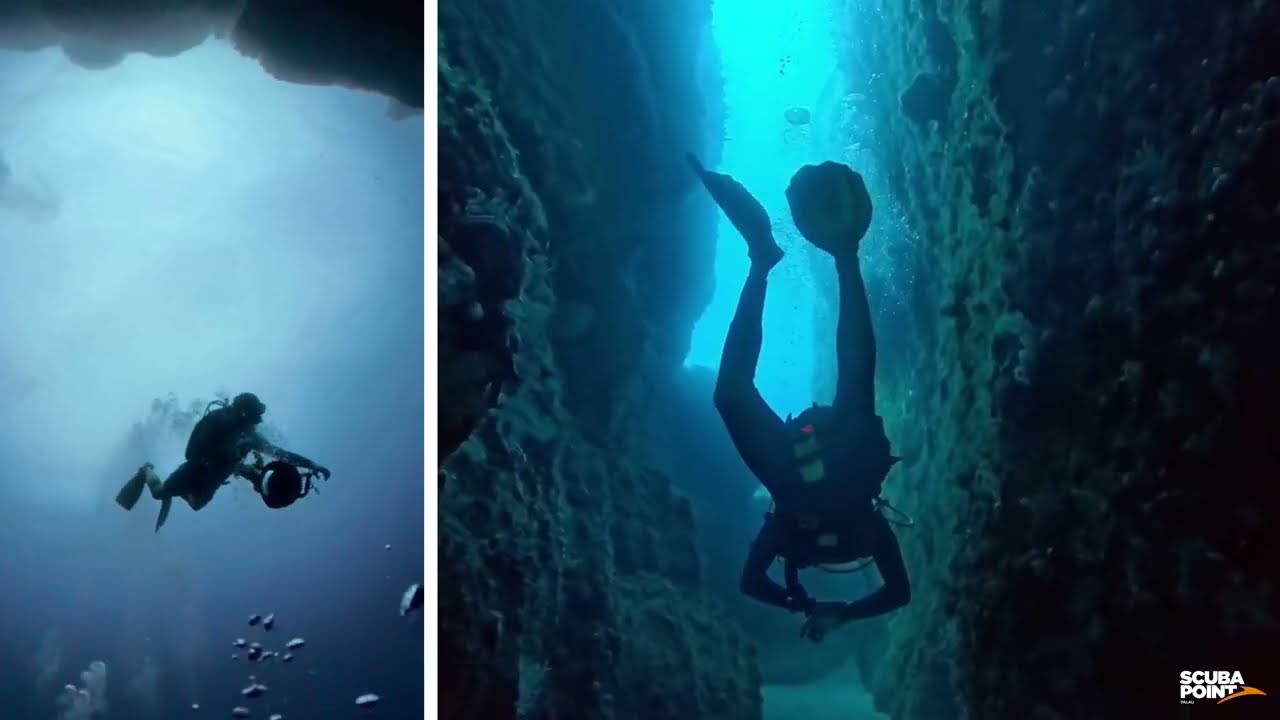 Scuba Point 2026