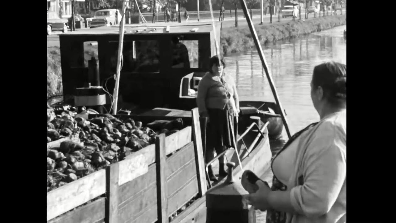 Veenkoloniale binnenvaart in Musselkanaal (1965)