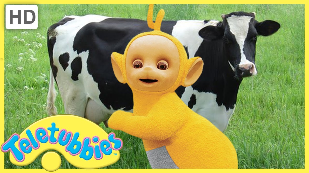 ★ Teletubbies English Episodes ★ Milking Cows ★ Full Episode - HD (S06E136)