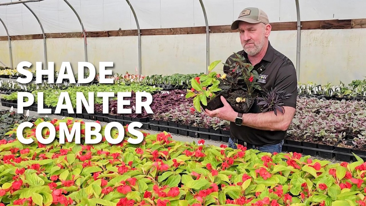 Plant your own custom shade basket combos: here's how! || Bauman's Farm & Garden