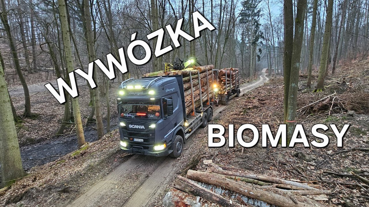 Leśna przygoda #484 Synek ku**wa UBIERZ SIĘ | Ktoś tu oszukuje