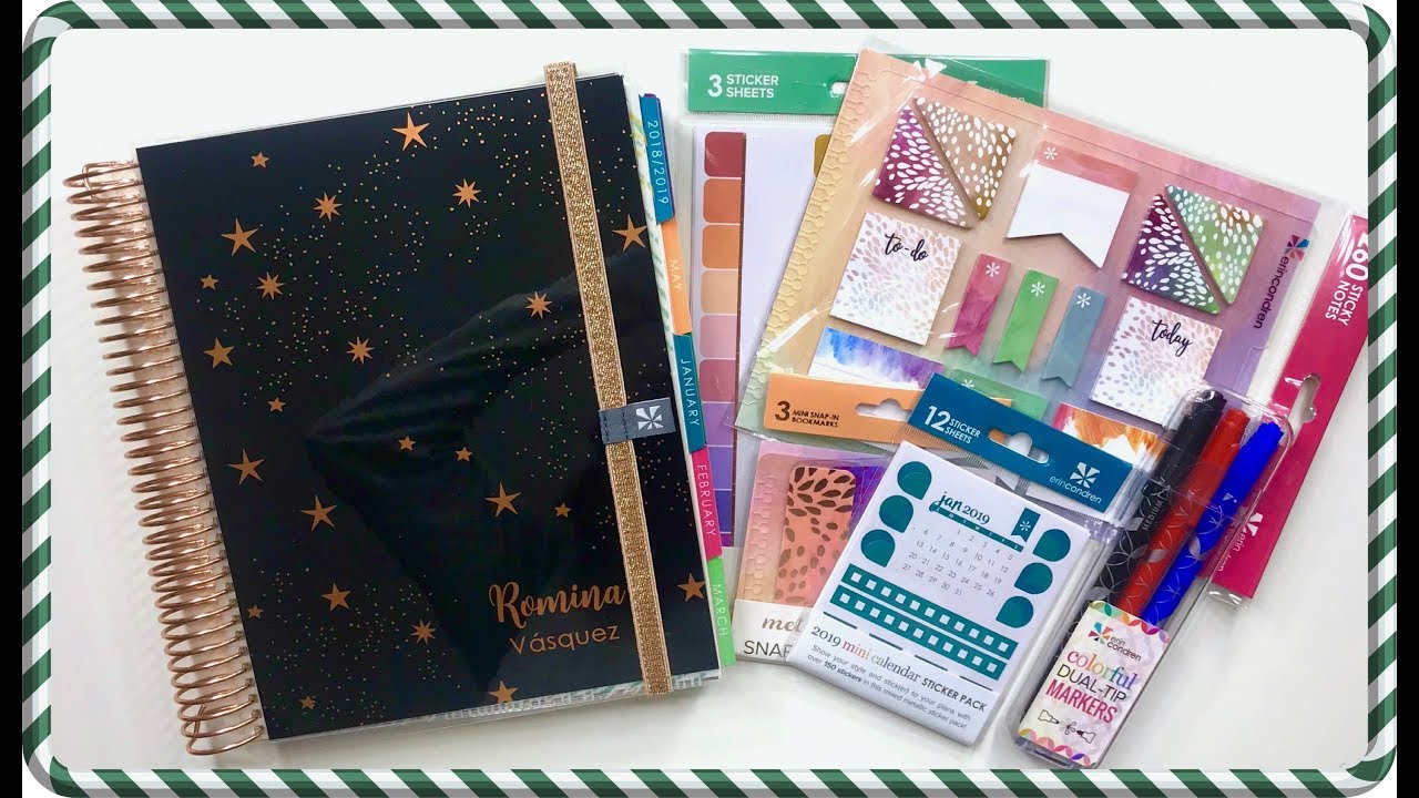 My 2019 Planner Set Up - Erin Condren Life Planner | Romina Vasquez