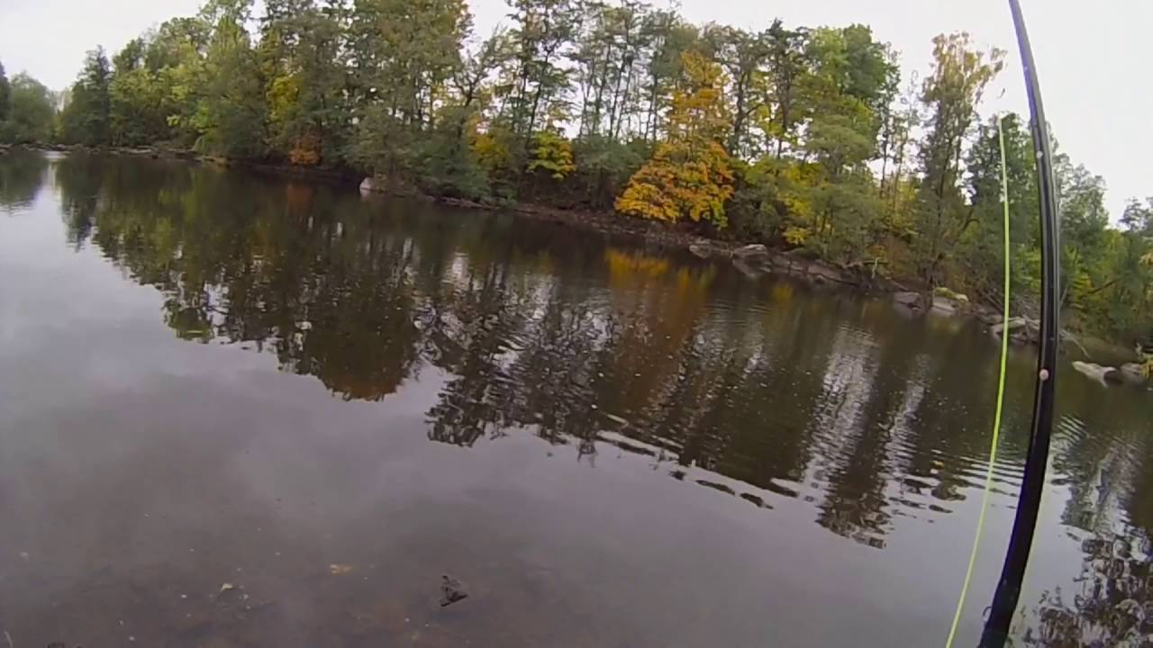 Flugfiske i Hallstahammar