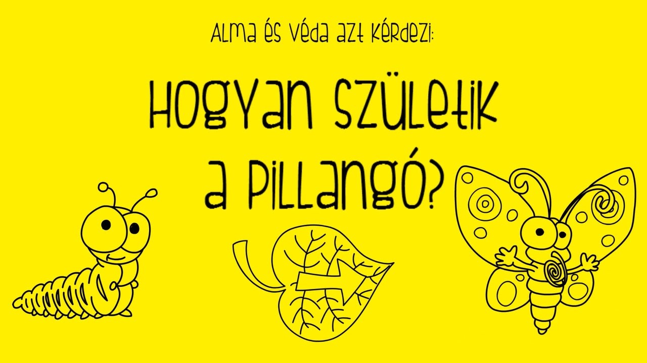 Alma és Véda: Hogyan Születik a Pillangó?
