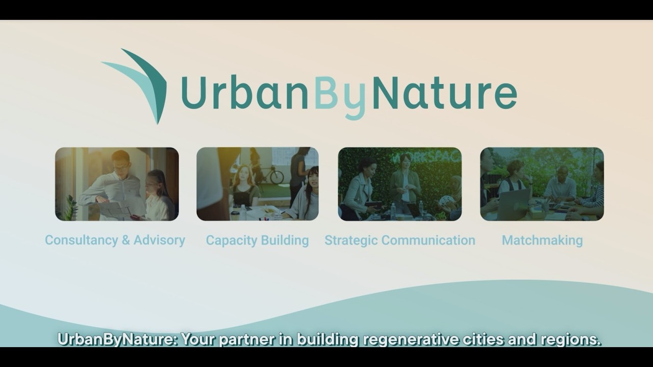 UbN Service Offers