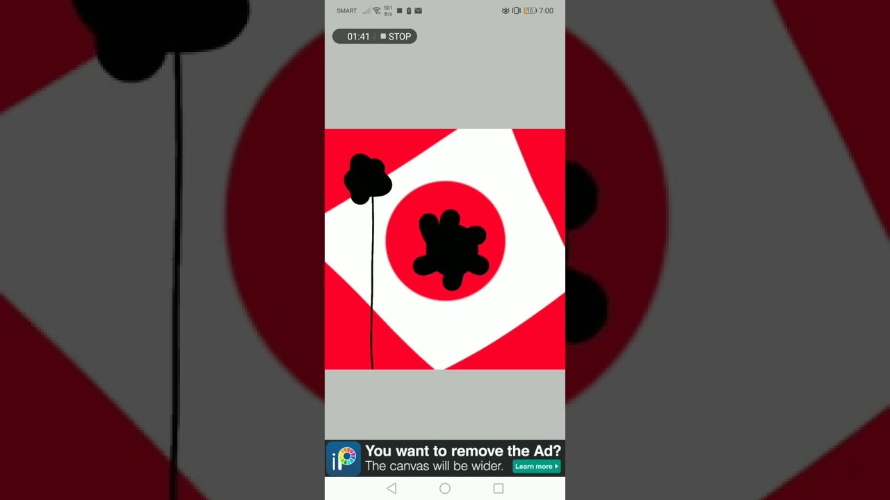 flags that dont exist animation