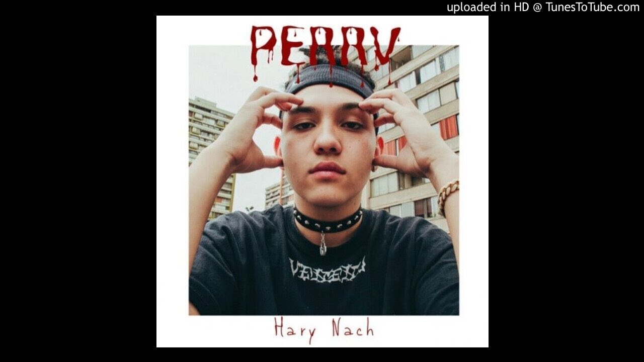 Harry nach - Perrv (Instrumental remake)